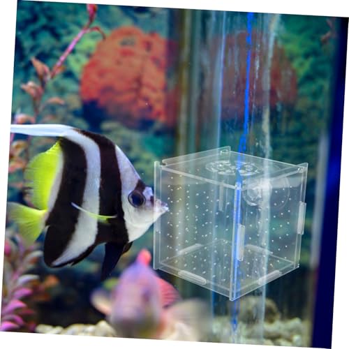 Acrylic Fish Breeding Box for Aquarium Isolation Tank Hydroponic Separator with Suction Cups
