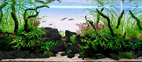 LANDEN Black Lava Stones (16lbs,3~10inch,11pcs) for Aquascaping Terrariums, Paludarium, Vivariums, Reptile and Amphibian Enclosures - size: 04 Black Lava Stones（3-10inch,16lbs）