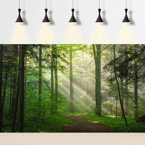 Sunrise Forest Aquarium Background Majestic Misty Morning Green Forests Fish Tank Background Scenic Tranquil Foggy Woodland Terrarium Backgrounds Green Meadow Plants Reptile Tank Backgrounds 24x16in - color: Grey_Green, size: 24(W)x16(H)in