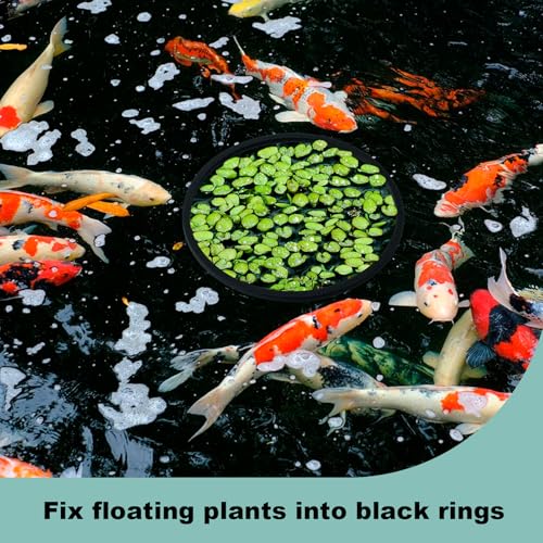10PCS Fish Feeding Rings, 5 Sizes Oval Aquarium Floating Plant Barriers, Foam Fish Feeder Rings, Fish Tank Aquarium Accessories for Fish, Floating Plant - Black