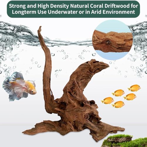 3 Pcs Natural Driftwood for Aquarium 7-12 Inch Driftwood Branches Bearded Dragon Accessories Reptiles Aquarium Decoration Assorted Size Natural Habitat Decor Wood for Lizad