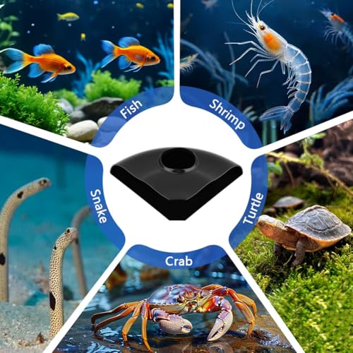 Aquarium Underground Corner Cave Natural Curve, Viewing Fish & Shrimp Tunnel Hideaway Corner, Under Gravel Viewing Tunnel Fish Cave Tank Decoration for Aquarium Tanks Shelter