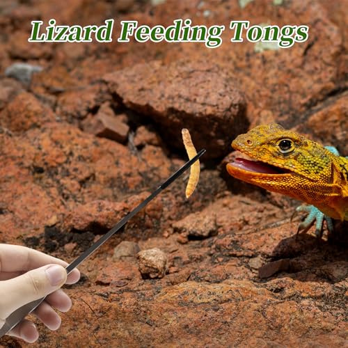 Reptile Feeding Tongs, Stainless Steel Lizard Feeding Tongs, Aquarium Straight Feeding Tweezers for Reptiles with Rubber Tip, Terrarium Feeding Tongs 10.63" L, Black Silver Tone - color: Black, size: 10.63"