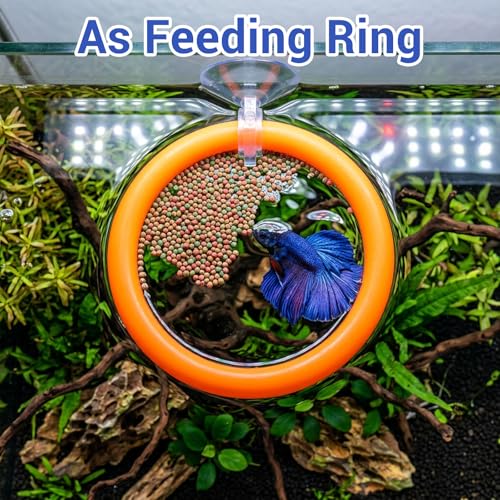 6 PCS Betta Fish Toys, 4 Exercise Training Ring 1 Fish Mirror with Ball and 1 Resting Leaf for Small Medium Stress-Free Fishes Bettas Aquarium, Multicolor