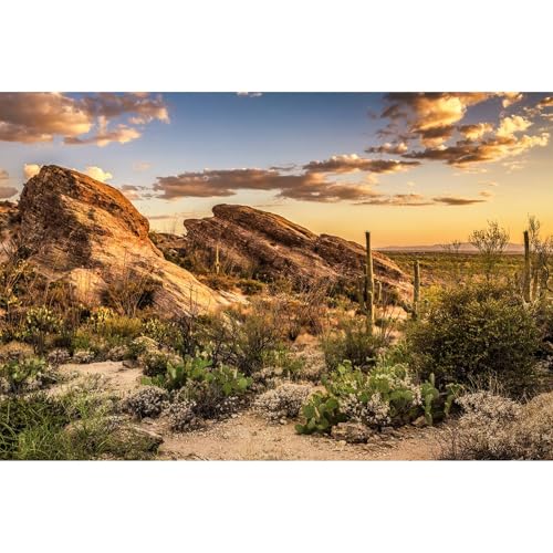 Desert Mountain Reptile Tank Background Sunset Rock Mountain Gobi Aquarium Background Blue Sky Gobi Barren Thorns Mountain Reptile Enclosure Backgrounds Cactus Mountain Fish Tank Backgrounds 30x12in - color: Gobi Orange, size: 30(W)x12(H)in