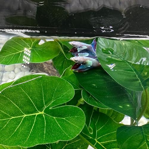 Fish Tank Decor Aquarium Decorations Ornaments Betta Leaf pad Hammock 6inch Plastic Artificial Plant Goldfish Fish Hides Small Tank/Reptiles Plants Driftwood (Green-Type-A) - color: Green-type-a