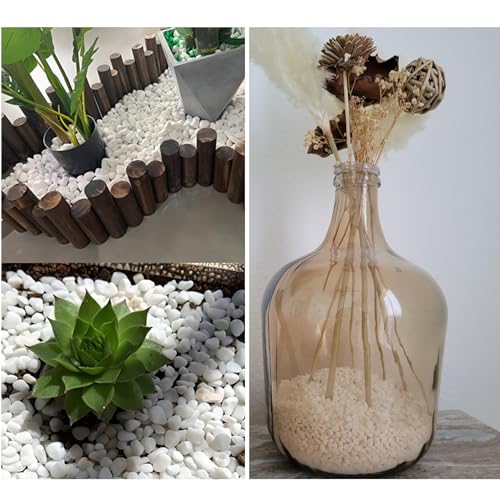 1LB Natural Gravel Pebbles, Cactus and Succulent Plants Pebbles, Small Decorative Polished Stones, White River Rocks for Potted Plants, Vases, Aquariums, Terrarium and Outdoor Gardening - color: 1LB White