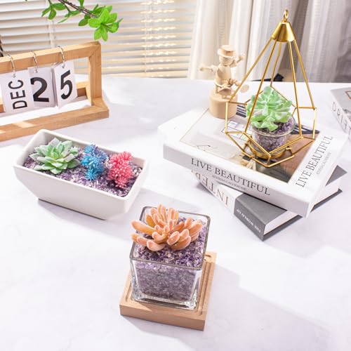 0.5 Lb/230g Amethyst Crystal Chips Bulk Tumbled Crushed Stones 3-5mm, Natural Crushed Crystal Quartz Healing Stones Rocks for Vases Filler, Aquarium Gravel Rocks, Succulent Plants Decor - color: Clear & Amethyst, size: 0.5 LB