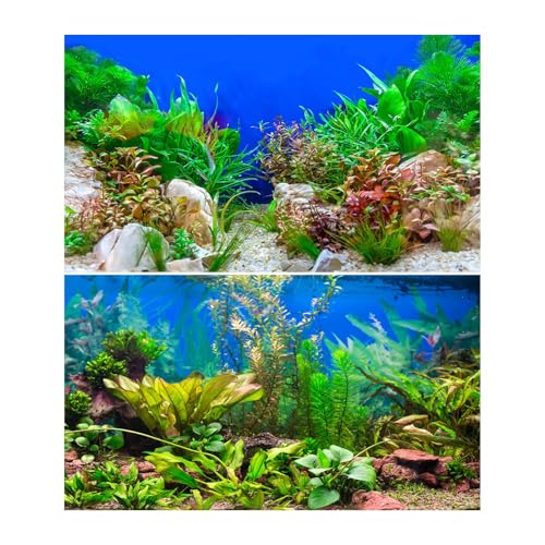 2 Packs Underwater Aquarium Background Various Aquatic Plants Undersea Fish Tank Background Stone Rock Cork Sandy Ocean Seabed on Blue Backdrop Aquarium Fish Tank Enclosure Backgrounds 24x12in - color: Blue_Green, size: 24(W)x12(H)inches/ 60(W)*30cm(H)