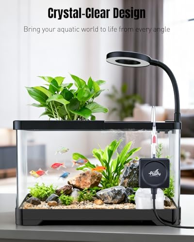 Pawfly 2 Gallon Fish Tank, Ultra Clear Aquarium Starter Kit with 6 W LED Aquarium Light, Mini Air Pump, Filter, Siphon Vacuum Water Changer & Basket, Small Fish Tank for Betta - color: Black-02