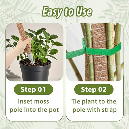 2 Pack Moss Pole, 28 Inch Monstera Plant Support, Moss Poles for Climbing Indoor Plants, Bendable Coco Coir Plant Support Stakes for Potted Plants, Pothos, Philodendron - size: 28 Inch - 2 Packs