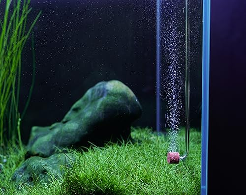 LANDEN AERVITA CO2 Diffuser Kits, Nano-Sized Ceramic diffusing disc Professional Aquarium CO2 High-Efficiency XS Size with Suction Cups and Silicone air Hose for Aquarium Tank Use Under 10gal(40L) - size: XS-11mm