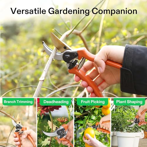 VIVOSUN 8" Bypass Pruning Shears for Gardening, Heavy-Duty Garden Scissors, Ultra Sharp Pruners with 3/4 in. Cut Capacity, Garden Clippers for Pruning - style: Bypass Pruner