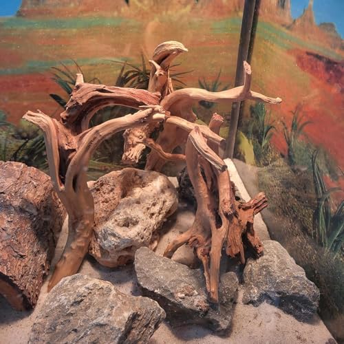 10 Pcs Natural Small Spiderwood for Aquarium, Aquarium Driftwood Freshwater 4-6 Inch, Assorted Size Spider Wood, Twisted Branches for Fishtank Accessories, Reptile Terrariums Decorations - color: 10 PackSpiderwood 4-6in