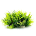 Aquarium Plants Fish Tank Decorations 2pcs Small Size/3.5inch Ornament Plastic Artificial Plant Goldfish Waterscape Fish Hides Mini Grass Set (2pcs/Green)