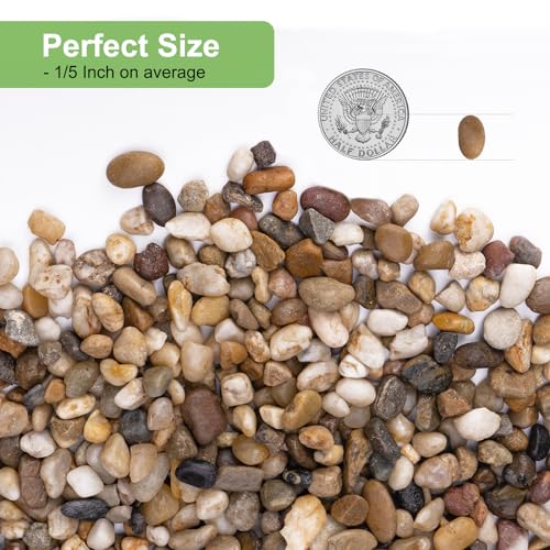 Pulovin 2.5 lbs Drainage Rocks for Potted Plants, 1/5 Inch Small Pebbles for Indoor Plants, Decorative Gravel for Vases, Bamboo, Succulent, Terrarium, Crafts, Cactus - color: Colored