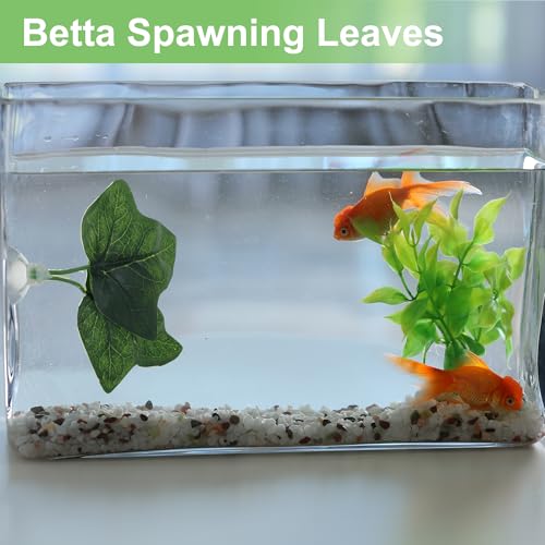 Betta Fish Leaf, Natural Habitat Simulation for Betta Spawnings Grounds, Betta Spawnings Leaves, Resting Bed, Double Maple Leaves, Green
