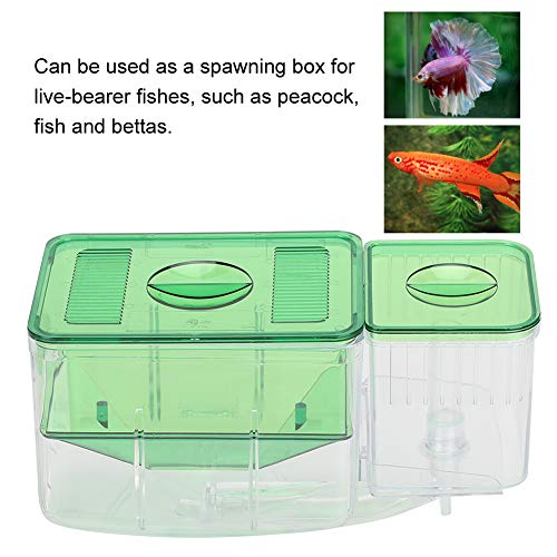 Fish Breeder Box,Double Layer Little Fish Isolation Hatching Incubator Aquarium Fish Isolation Breeding Box for Injured Small Fish Shrimp Clownfish Guppy