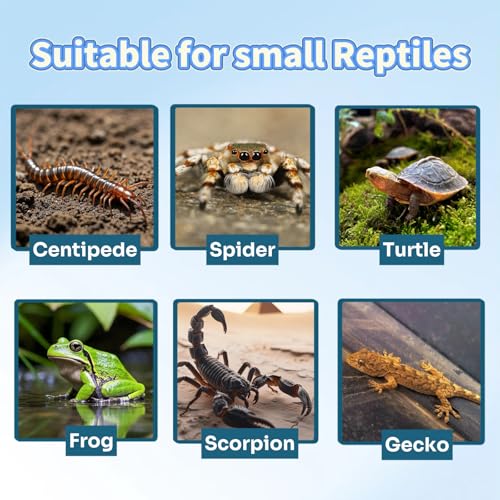 Tarantula Hide Aquarium Decorations and basking Platforms | Resin Basking Platform for Reptiles, Ideal for Bearded Dragons & Leopard Geckos - color: Black-Small