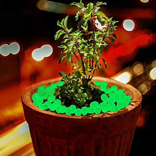 Oubest Glow in The Dark Rocks Glow Pebbles Decor for Garden/Fish Tank/Aquarium/Walkway/Driveway/Plant Pots/Bonsai (100, Green) - color: Green
