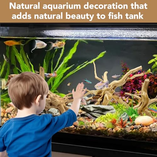 Jorewood Natural Small Spiderwood Driftwood for Aquarium Decor Rptile Fish Tank Decoration Assort Branch 4-7'' 8 Pcs - size: Spiderwood 4 to 8 Inch (Pack of 8)