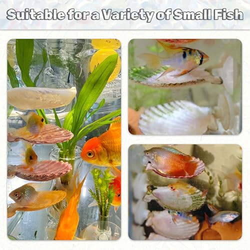 3PCS Betta Hammock Shells, Natural Small Fish Tank Decorations, Betta Fish Tank Accessories, Aquarium Decorations, Aquarium Hideout Habitat for Sleeping Resting Hiding Playing (Yellow) - color: Yellow