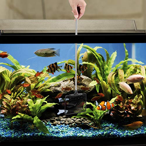 Lpraer Aquarium Fish Net with Extendable Stainless Steel Long Handle Fine Mesh Net for Fish Tank - size: Medium