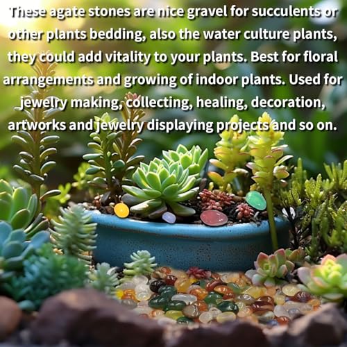 0.45 LB Polished Agate Stones Natural Decorative Rocks for Outdoor Decoration Home Decoration Fish Tank Vase Filler DIY Handmade Bamboo Succulents Cactus (Color Agate) - color: Color Agate