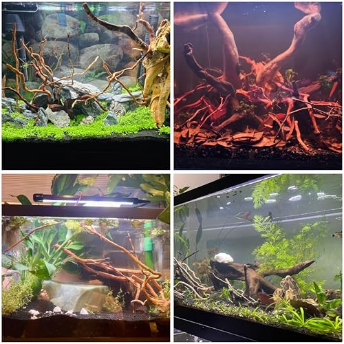 Azil Natural Aquarium Driftwood Root – Driftwood for Aquarium Decor, 170g~0.38lb (14″–16″), Fish Tanks, Terrariums, Aquascaping & Planted Tanks - size: Root mix 14 - 16 inch