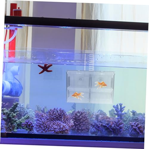 Levemolo Hanging Fish Breeding Box Isolation for Aquariums Suction Cup Design for Easy Installation Nursery for Fry Fish Wear Resistant