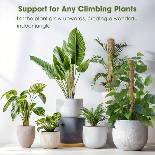 4 Pack 20 Inch Moss Poles, Stackable Moss Pole Monstera Plant Support, 66 Inch Tall Plant Stakes for Climbing Plants Indoor, Coir Plant Support Stick Stand for Potted Plants, Pothos, Philodendron