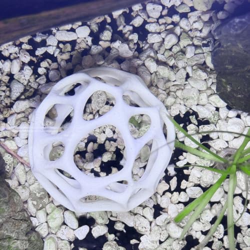Moss Dome for Aquariums – Natural Shrimp Hide & Breeding Shelter, Aquascaping Accessory for Neocaridina & Caridina Shrimp, Shrimp Tank Decor & Safe Retreat for Small Fish