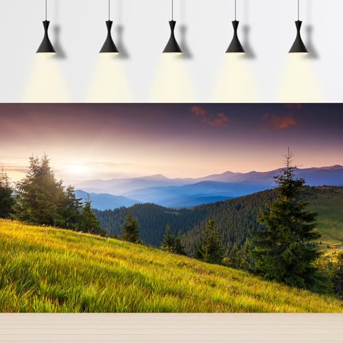 Majestic Morning Mountain Aquarium Background Tranquil Valley Pine Trees Fish Tank Background Sunrise Scenic Mountain Fir Forests Terrarium Backgrounds Green Meadow Reptile Tank Backgrounds 24x12in - color: Foggy Blue_Green, size: 24(W)x12(H)in
