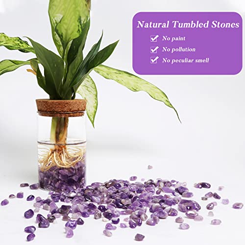 QICQDRAM Polished Gem Stones Rocks Crystals 0.9 Lb/405g Natural Tumbled Stones Amethyst Crystal Chips Bulk for Healing Crystals & Fish Tank Rocks Gravel, Vase Filler, Plants Decor - color: Amethyst
