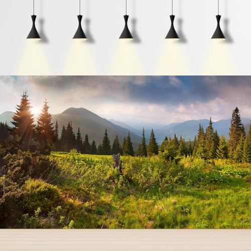 Mountain Valley Aquarium Background Tranquil Sunset Pine Trees Landscape Fish Tank Background Sunrise Scenic Mountain Fir Forests Terrarium Backgrounds Barren Thorns Reptile Tank Backgrounds 24x12in - color: Light Green, size: 24(W)x12(H)in