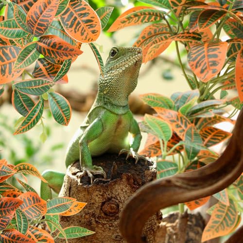 QUOZUO 2 Pack Reptile Plants, Artificial Hanging Plants with Suction Cups, Habitat Decor Plastic Vines Decorations for Bearded Dragons Lizards Snake Geckos Frogs -Gold - color: Gold