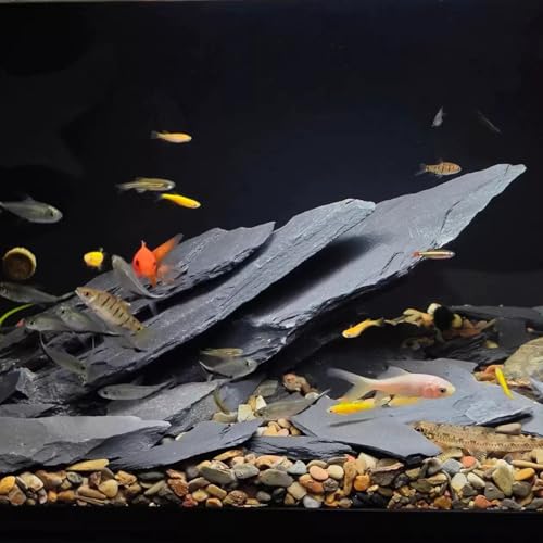 Slate Rock for Aquarium, 3-5 Inch Polished Natural Stone Rocks, Fish Tank Decor, Aquascaping Rocks, Safe for Aquariums, Terrariums, 10 lbs - color: 10 lbs, size: 3-5 Inch