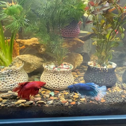 Aquarium Submerged Plant Pot, Underwater Plant Anchor, Fish Tank Aquatic Plante, Aquarium Landscaping Decoration, Decorative Accessories - 2-Piece Set (Wooden) - color: Wooden