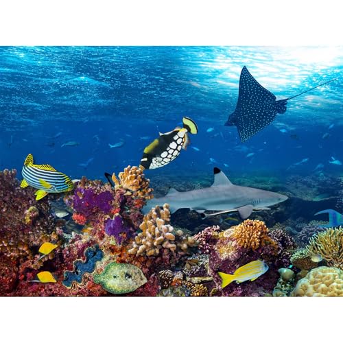 Undersea Aquarium Background Underwater Tropical Fish Coral Reef Terrarium Background Under The Sea World Theme Fish Tank Background Shark Blue Sea with Sunbeams Fish Tank Backdrop 24x12in - color: Tropical Dark Blue, size: 24(W)x12(H)inches/ 60(W)*30cm(H