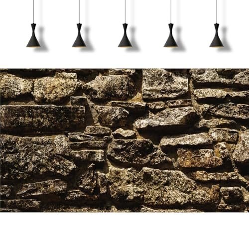 Stone Wall Aquarium Background Textured Ancient Wall Surface Fish Tank Background Old Stone Rock Wall Texture Reptile Tank Background Wild Rough Textured Stone Wall Terrarium Background Decor 24x16in - color: Dark_Brown, size: 24(W)x16(H)inches/ 60(W)*40c