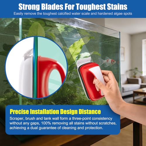Small Aquarium Cleaning Tool Fish Tank Strong Magnetic Algae Scraper Glass Cleaner Floating Scrubber Brush with 2 Detachable Scrapers for Cleaning Debris and Algae (Size L) - size: L - 3/8" to 5/8" Glass Thickness