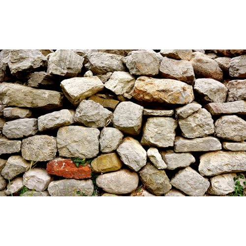 Stone Aquarium Background Natural Rock Fish Tank Background Rocky Glass Terrarium Background Stone Wall with Sunray Aquarium Background Stone Rock Reptile Habitat Background Poster 36x18in - color: Rock Gray, size: 36(W)x18(H)inches/ 90(W)*45cm(H)