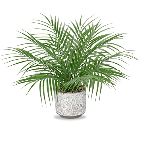 Hollyone Large Artificial Potted Plants Fake Palm Plants 16" Faux Tropical Palm Plant Tree in Ceramic Pots Bohemian for Home Room Office House Indoor Decoration - color: 16" Palm Potted-1