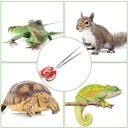 Snake Feeding Tongs,15 Inch Reptile Feeding Tongs,Extra Long Large Tweezers for Corn Ball Python Accessories,Bearded Dragon Tank Accessories,Pet Terrarium Supplies for Leopard Crested Gecko,Lizard - size: 1PCS
