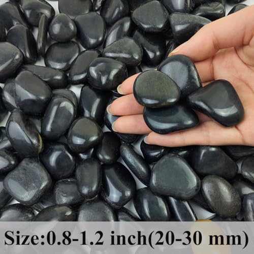 FANTIAN 2lbs Black Pebbles for Indoor Plants, 0.8-1.2 inch Polished Stones. Decorative Black River Rocks for Potted Plants Vase Aquarium Landscaping and Outdoor Garden - size: 0.8-1.2 inch, style: 2.0 Pounds