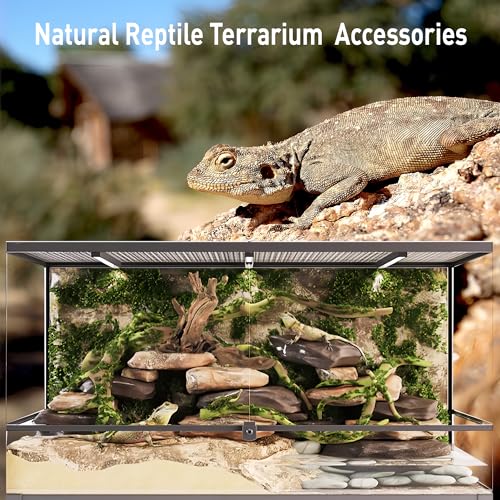 Kaiyuan Dynasty 2Pcs 10-12" Natural Coral Driftwood for Fish Tank Decorations Aquarium Driftwood for Reptile Aquatic Plants Aquascaping - size: Driftwood 10 to 12 Inch(Pack of 2)