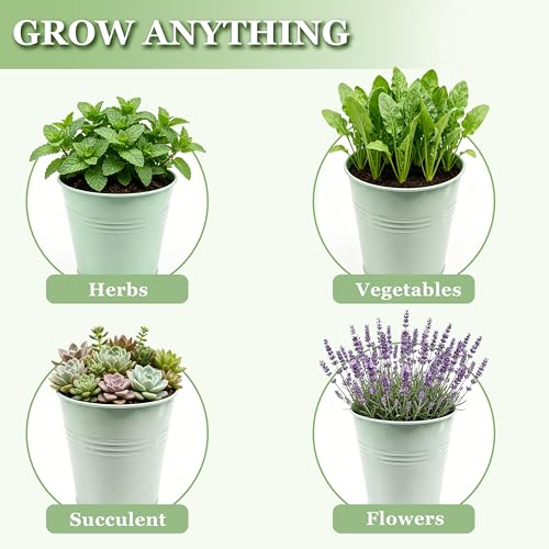 TCBWFY Indoor Herb Garden Planter Set - 3 Pack 4.7" Green Metal Plant Pots with Drainage Holes & Removable Tray - Windowsill Kitchen Counter Balcony Office Garden - color: Green
