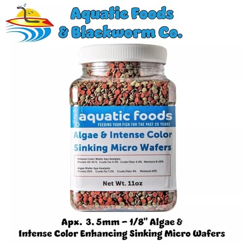3.5mm - 1/8" Micro Wafer Mix of Spirulina Algae & Intense Color Enhancing Sinking Micro Wafers for Catfish, Plecos, Bottom Fish, Shrimp, Crabs, All Tropical Fish..11oz Small Jar - size: 11 Ounce (Pack of 1)