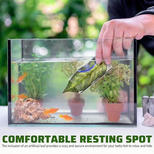 Veemoon 2 Pcs Acrylic Betta Fish Tube Tunnel with Suction Cups Transparent Betta Hideout and Resting Leaf Aquarium Decoration 3.14 X 1.57 Inch Fish Tank Accessory for Home and Office