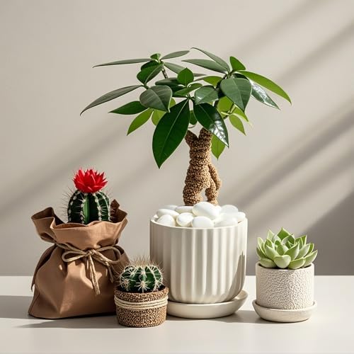 River Rocks for Landscaping, 20lbs White Pebbles for Indoor Plants, 1-2 Inch Decorative Rocks for Planters, High Polished Stones for Vase Filler Fish Tank Garden - size: 1-2 inch, style: 20 lbs